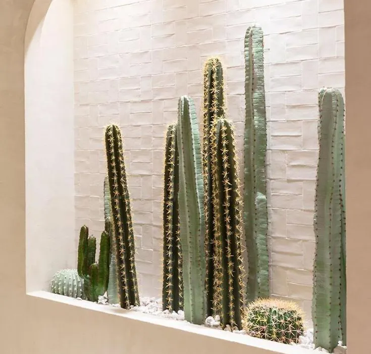 Riad RIME QOUSSAI-1